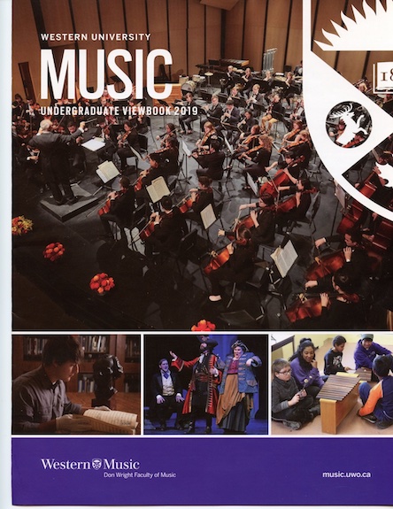 Western University Chamber Orchestra